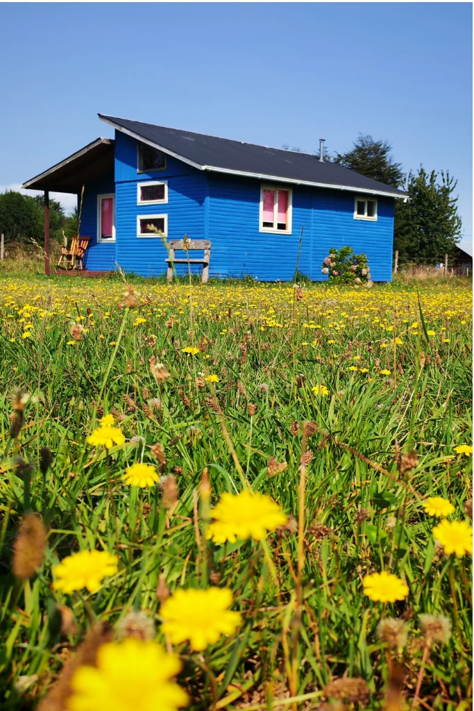 Foto cabaña con flores amarillas